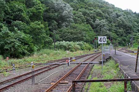 ochiai03.jpg