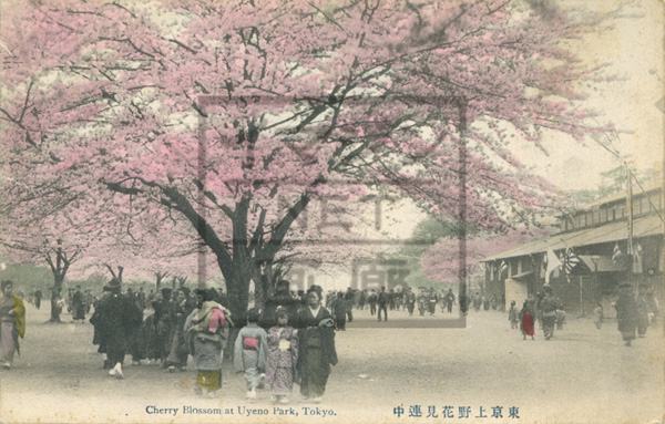 花見