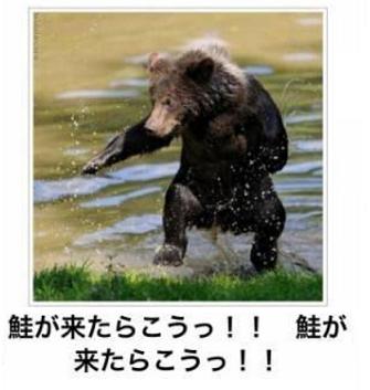 鮭が来たら