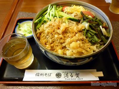 冷やしたぬき