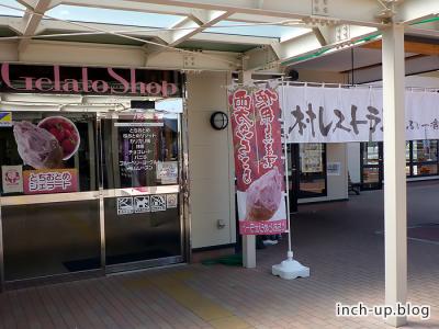 ジェラート屋+レストラン