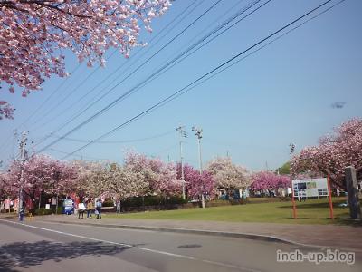 天平の丘公園