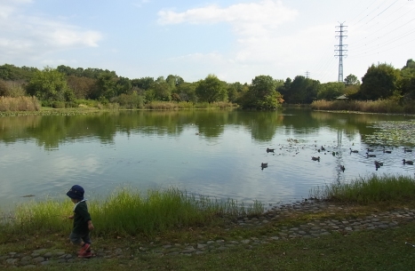 きれぎれの風彩 「見沼自然公園」
