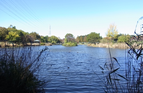 きれぎれの風彩 「見沼自然公園」