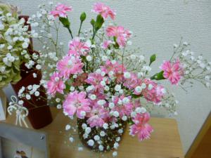 P1000504.jpg