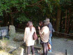 P1000773.jpg