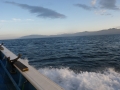 201410260637.jpg