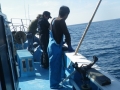 201410261307.jpg