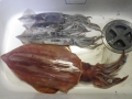 201410261823.jpg