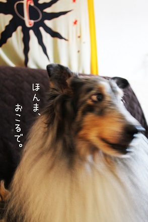 IMG_7203s.jpg