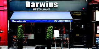 DAWINS 1