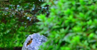 1017_20121017203810.jpg