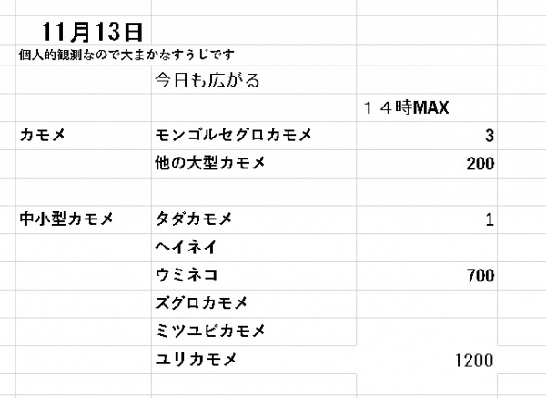 1113h.jpg