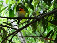 DSC00111.jpg