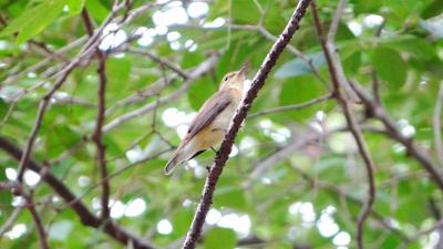 DSC04390.jpg