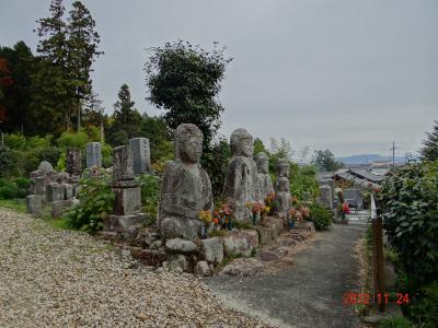 DSC07541.jpg