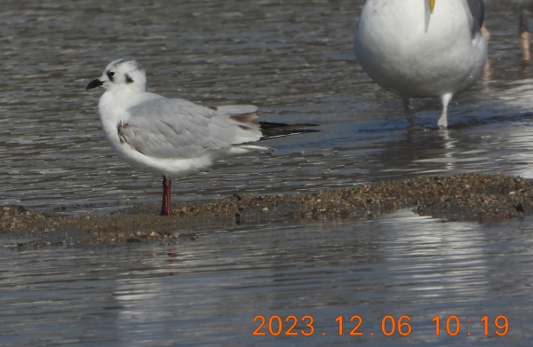 DSCN2117.jpg