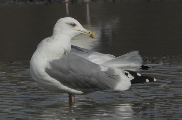DSCN2275.jpg