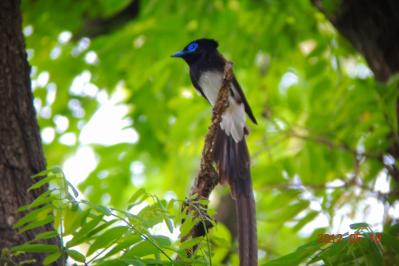 DSCN2345.jpg