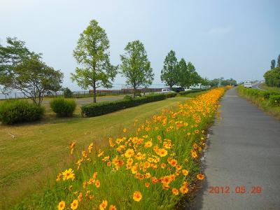 DSCN2436.jpg