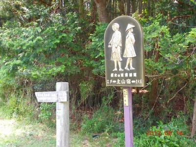 DSCN2528.jpg
