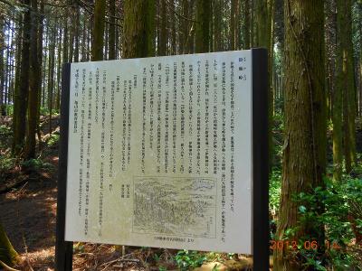 DSCN2532.jpg