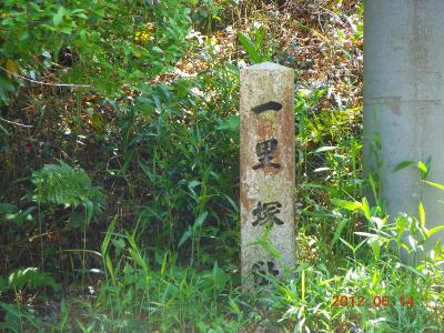 DSCN2545.jpg