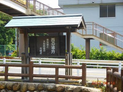 DSCN2549.jpg