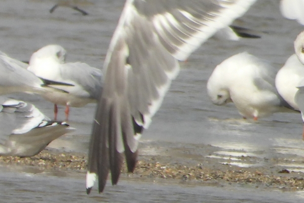 DSCN2558.jpg