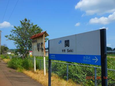 DSCN2562.jpg