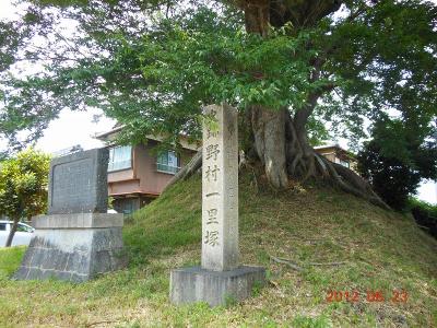 DSCN2582.jpg