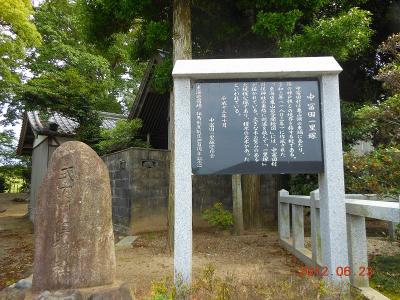 DSCN2596.jpg