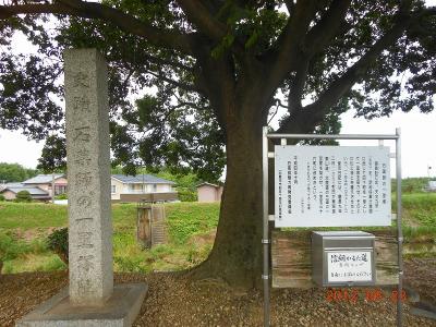 DSCN2606.jpg