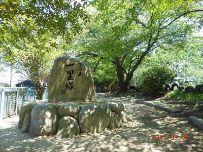 DSCN2640.jpg