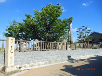 DSCN2672.jpg