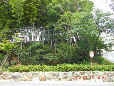 DSCN2729.jpg