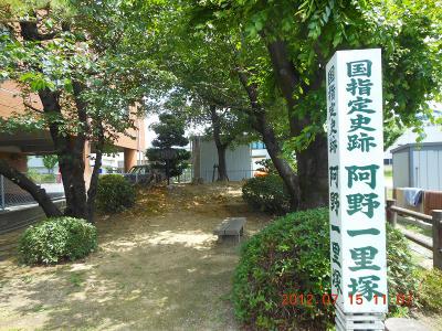 DSCN2734.jpg
