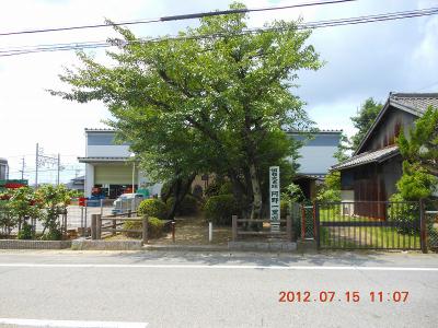 DSCN2735.jpg