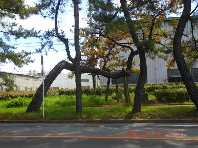 DSCN2754.jpg