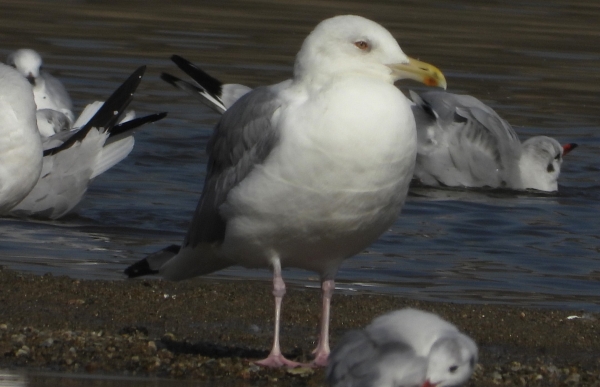 DSCN2779.jpg