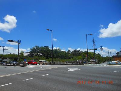 DSCN2804.jpg