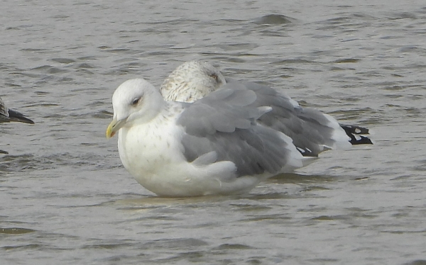 DSCN2816.jpg