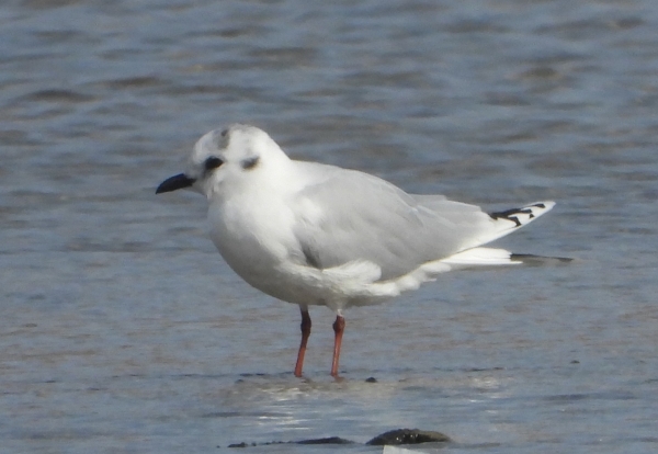 DSCN2825.jpg
