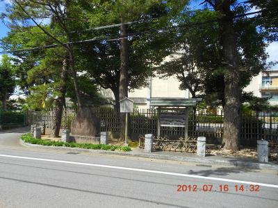 DSCN2831.jpg