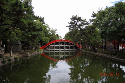 DSCN2894.jpg