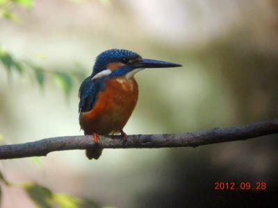DSCN3161.jpg