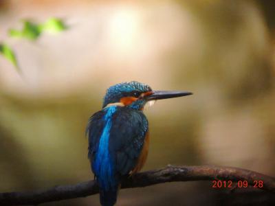 DSCN3169.jpg