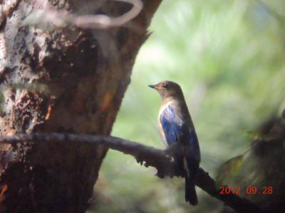 DSCN3356.jpg