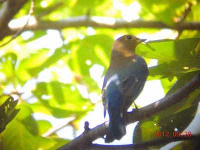 DSCN3403.jpg