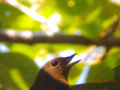 DSCN3466.jpg